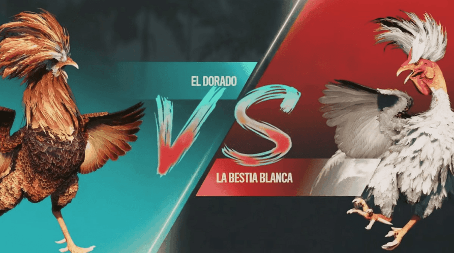 5393 Login no App de Esports